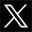 X icon